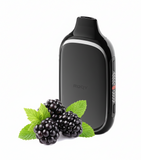 Roqy 40000 Blackberry Mint (Ежевика Мята) &mdash; фото одноразовой pod-системы