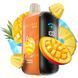 Elf Bar RAYA D3 25000 Pineapple Mango Ice (Ананас Манго со льдом) &mdash; фото одноразовой pod-системы 1